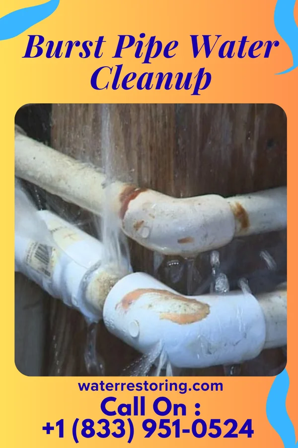 Burst Pipe Water Cleanup in Harmonyville, VT