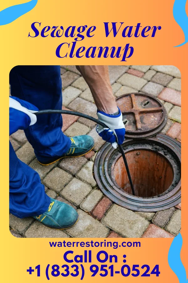 Sewage Water Cleanup in Harmonyville, VT